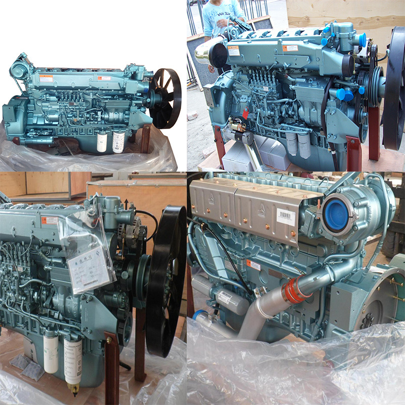 Original Manufacturer HOWO Dump Truck Wd615.47 Engine for Sale