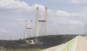 Quality Customized Cable Stay Bridges With Hot - Dip Galvanized Surface Protection wholesale