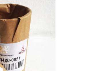 Quality BF4M1013 Camshaft Bearing Bush 22mm 11700284 11700285 04200021 wholesale