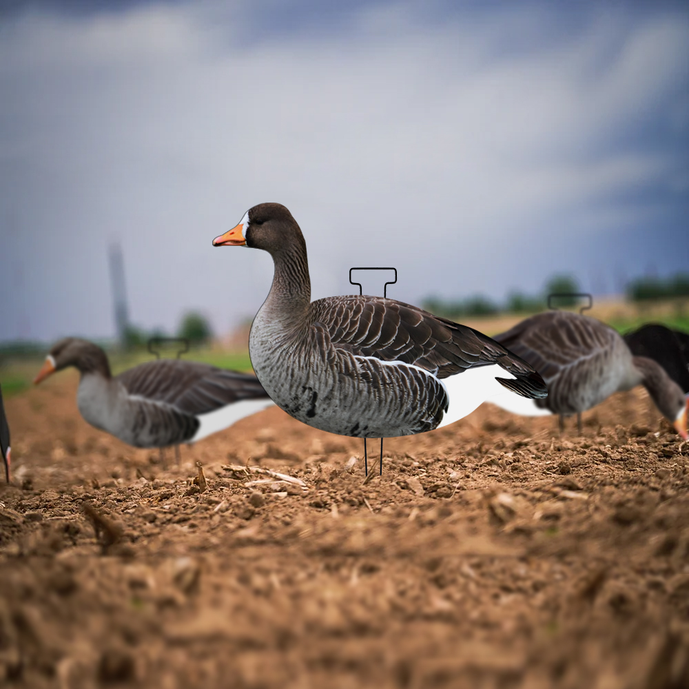 Waterproof Plastic Lifelike Anti Scratch Silhouette Geese Decoy For Specklebelly Goose Hunting