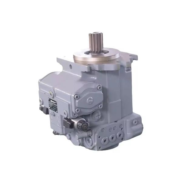 A4VG Hydraulic Pump A4VG250 A4VG250EP2D1/32R-NSD10F001DH-S A4VG250EP2D1