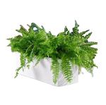 Wood grain stainless steel flower pots & planters outdoor square large