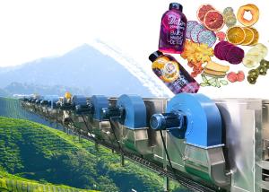 Quality High Performance Industrial Fruit Dryer For Apple Pear Mango Peach wholesale