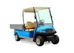 Popular 48v Utility Electric Car Golf Cart With Led Lights For Luggage