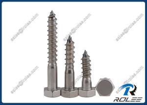 304/316/A2/A4 Stainless Steel Hex Wood Screw / Lag Bolt