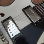 High quality hollow body jazz electric guitar, rosewood fingerboard black