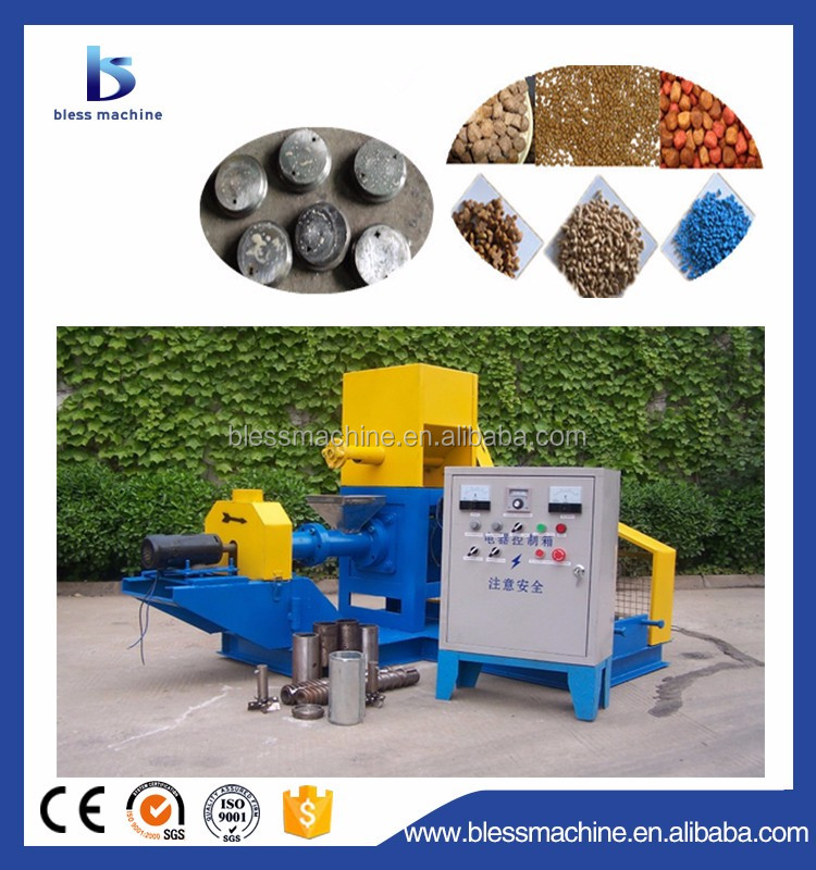 1000 KG Capacity Maize Dry Oil Extruder Machine with Full Automation and SKF Bearing