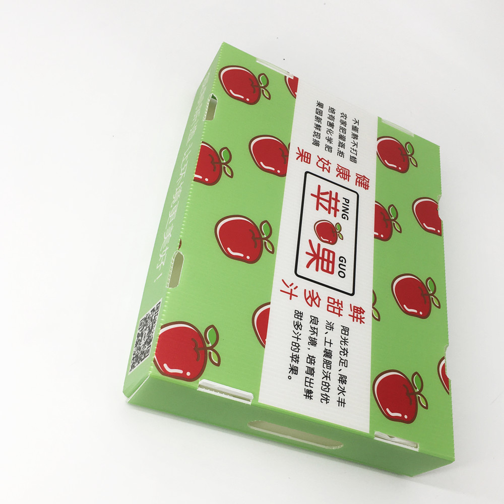 OEM Dustproof Corrugated Plastic Storage Boxes 2.0mm-5.0mm Thickness