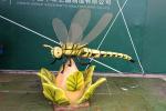 Children Playground Realistic Animatronic Dragonfly Model High Durability