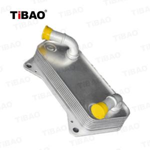 Quality 02E 409 061 B Automatic Transmission Oil Cooler For Audi A3 VW Beetle 02E409061B wholesale