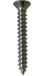 spring steel drywall screw 3.8*38,stainless steel,size and finish as per drawing