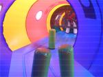 Fun Caterpillar Inflatable Tunnel (CYOB-08)