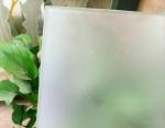 Artistic/Milk-White Frosted Glass Used for Shower Room Partition with Fine