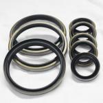 Black NBR Metal Oil Resistant Dust Seals Wiper Seal for DKB/DKBI in All