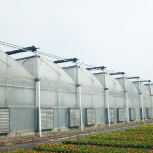 Quality Tropical Climate Multi-span Wind Resistant Poly Tunnel Sawtooth Greenhouse wholesale