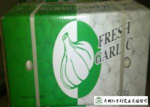 Quality HACCP / GAP Standard Chinese Garlic 4.5 / 5.0 Cm Size Own Plantation wholesale