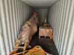 30 Mpa Rock Hardness Excavator Arm Ripper For Tough Digging Conditions