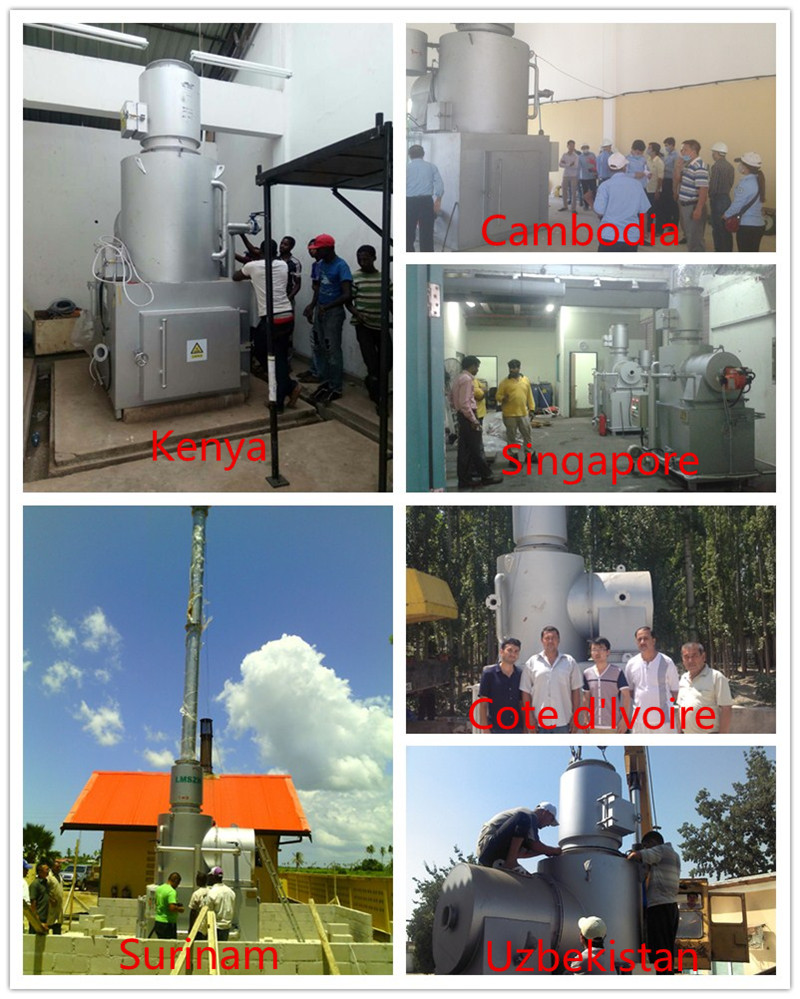380v/220v Voltage Multi-Capacity Incinerator for Swaworthy Packing Pet and Animal Waste