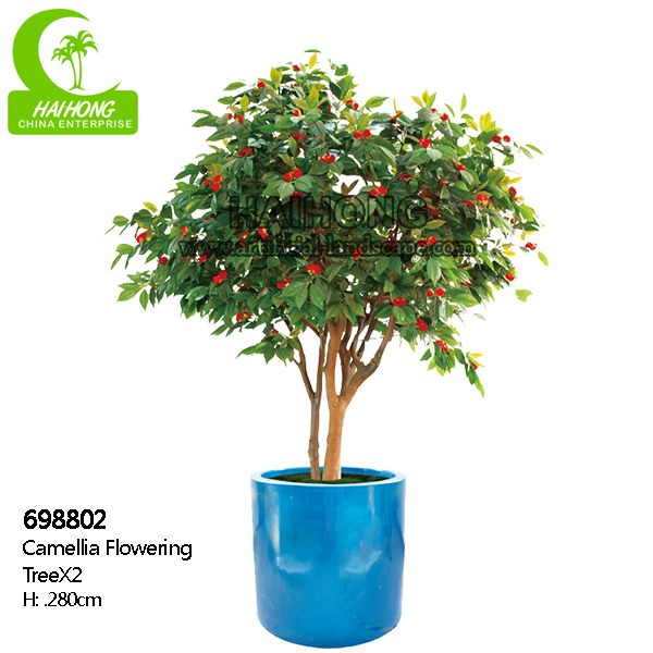 Camellia flowering tree