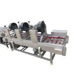 Central kitchen fruit and vegetable washing machine clean vegetable food