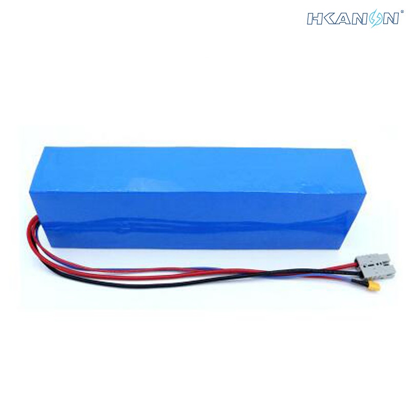 Rechargeable Lithium Ion Electric Bicycle Lithium Battery Phylion Akku Xh25910j With BMS