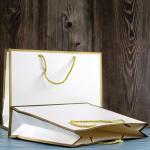 43*12.5*32cm Clothing Paper Bags
