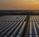 Innovative Single/Multi Span Photovoltaic Commercial Greenhouses for Sustainable
