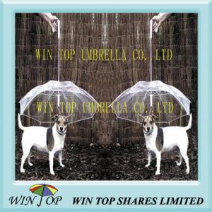 Quality PVC and Poe Pet, Cat, Dog Umbrella Manufacturer wholesale