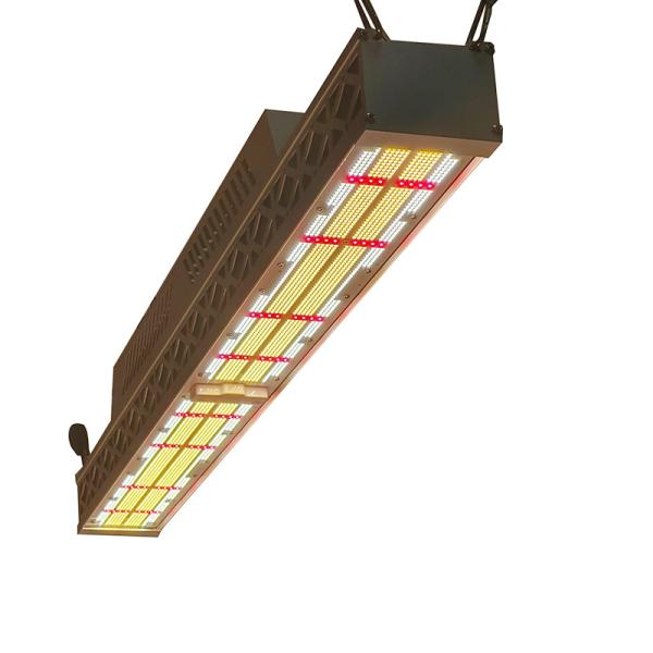 600w 2 Channels Greenhouse LED Grow Light Greenhouse Grow Lamps 100-277VAC 50