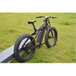 48V 750W Bafang Rear Hub Motor Electric Bicycle for Mountain Riding on 26 Inch