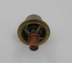 22195820 -39437645 Temperature Control Valve