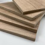 Furniture Hardwood Veneer Plywood 2440x1220x18mm Mildewproof