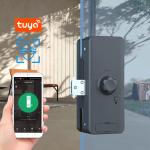 Tuya Remote Control Face Recognition Door Lock Face Identify Office Glass Door
