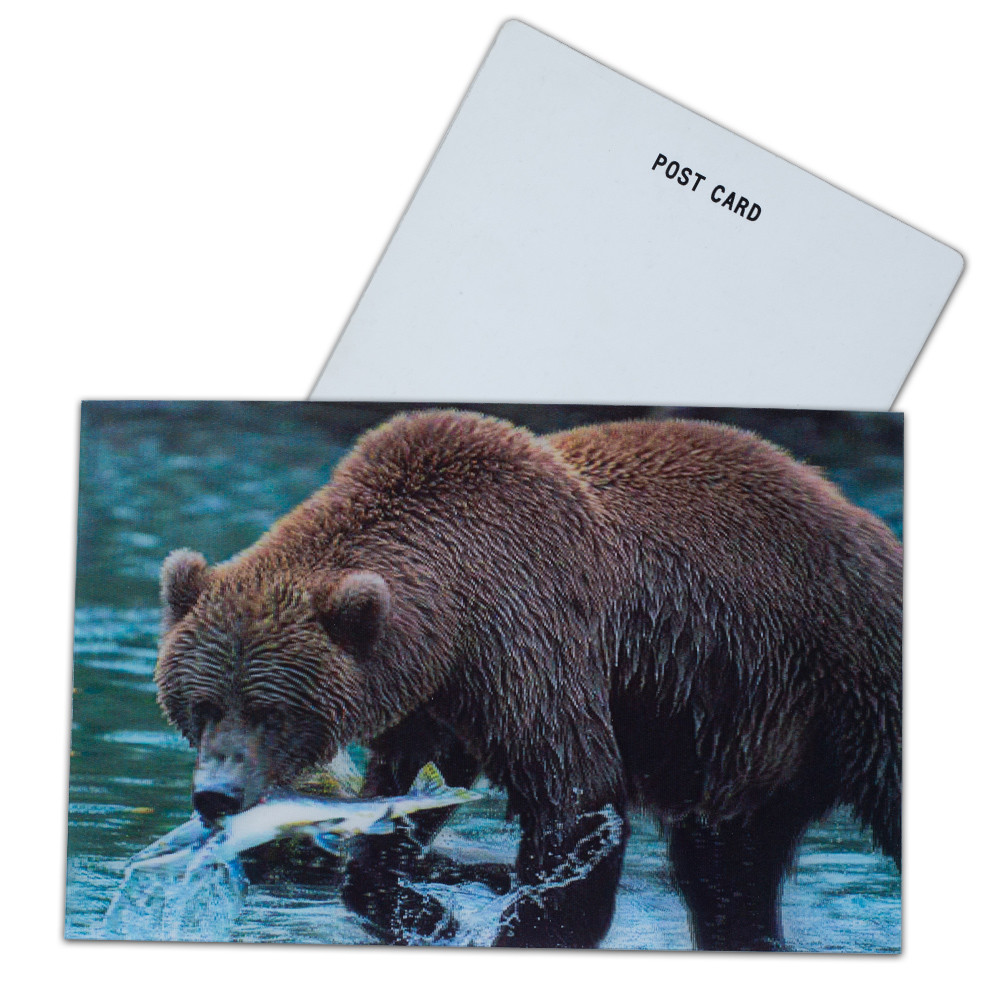 Negotiation Status read failed 3D Lenticular Postcards for Market