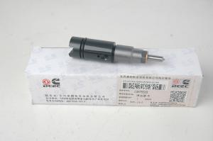 Quality L8.9 Auto Engine Parts Diesel Engine Injector 3975929 1 Year Warranty wholesale