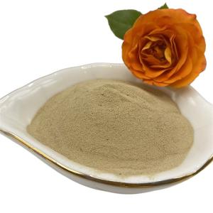 Quality Soybean Meal Source Amino Acids Fertilizer wholesale