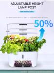 LED Lighting and Intelligent Circulating Water Pump Integrated Hydroponic