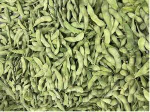 Quality HALAL Certified High Protein Frozen Edamame Beans wholesale