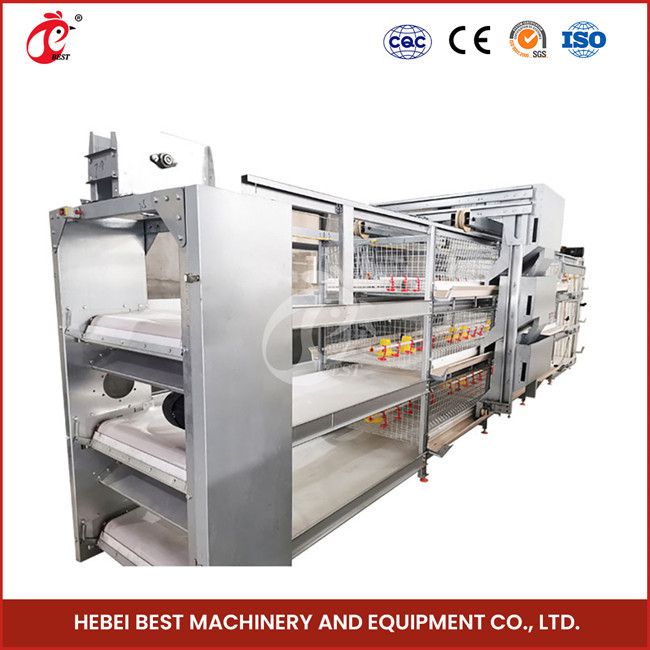 Full Automatic System Pullet Cage With Hot Deep Galvanization H Type Shape Emily