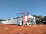 Modern Light Steel Frame Horse Barns , Steel Structure Building Cattle Shed