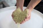 Transparent Water Dissolvable Laundry Bags For Embroidery