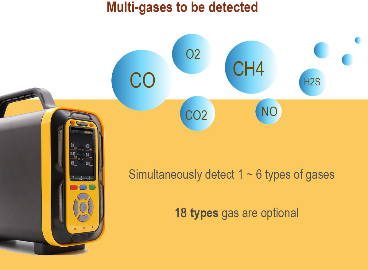 Ptm600-BIO Portable Gas Detector Landfill CO2 CH4 O2 H2s Co H2 Biogas Analyzer