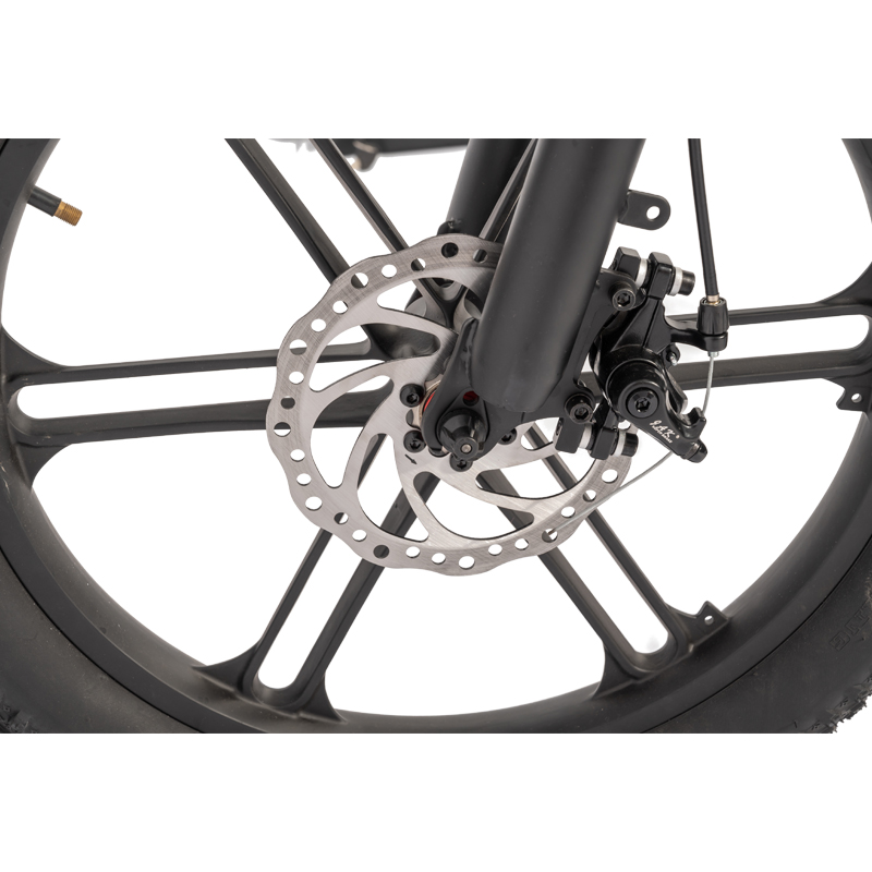 Customized Color Electric Fat Tire ebike 48V 500W Motor LCD Display Family Cargo Bike
