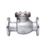 Flange Ends Connection H44W-16P Stainless Steel 304 Swing Check Valves for