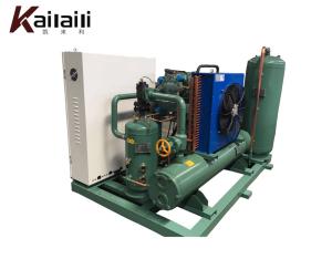Quality Chinese Manufacturer/Factory Price/ Low Temperature Single Screw Compressor Condensing Unit wholesale