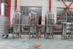 EDI Water Treatment Purification Machine In Bottle Water Filling Line