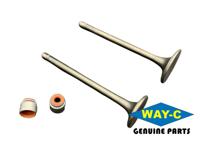 G4320780 Tricycle TUKTUK Engine Valve Kit Intake Exhaust Valve For TVS KING