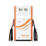Bernet Fashion Design Side Refueling Double Nozzle 220V Fuel Dispenser