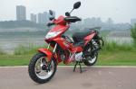 Powerful Engine 4 Stroke 125cc Street Legal Motorcycle 501W - 1000W