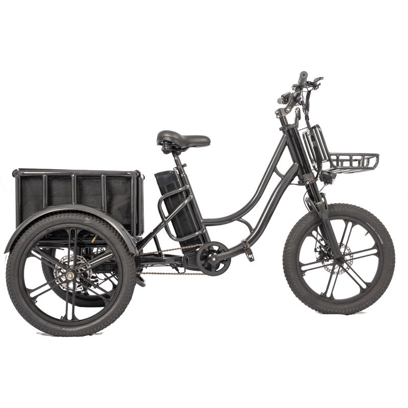 Customized Color Electric Fat Tire ebike 48V 500W Motor LCD Display Family Cargo Bike
